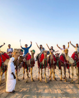 Group Tours